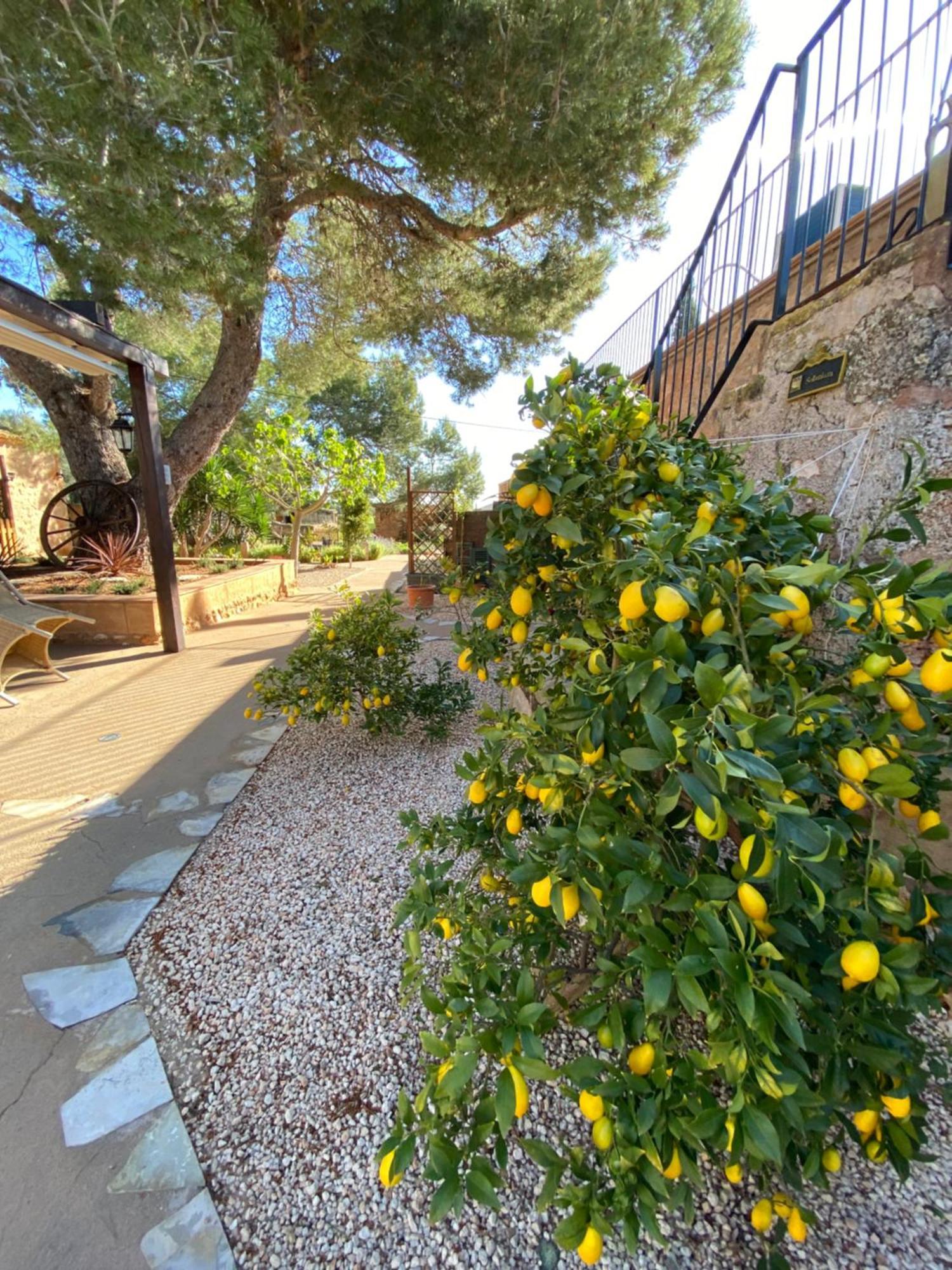 Finca Sa Canova Agroturismo Campos  Buitenkant foto